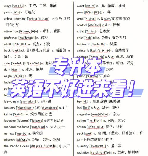 專升本英語需要多少詞匯量？3800個足夠嗎？ - 腿腿教學網