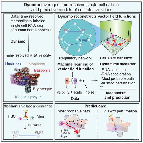 Dynamo圖文指南 - BIM,Reivt中文網