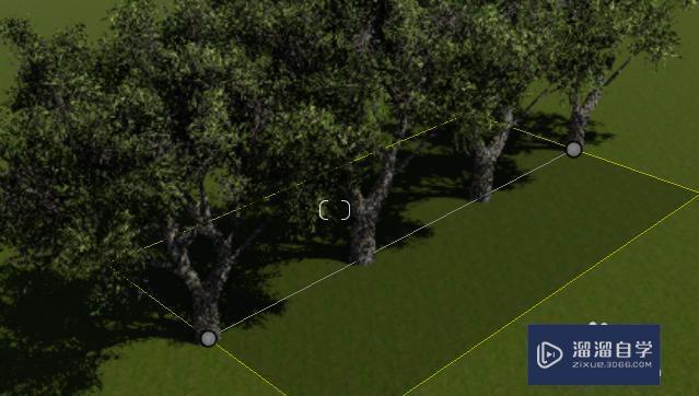 如何在Lumion中快速添加大量樹木 - BIM,Reivt中文網