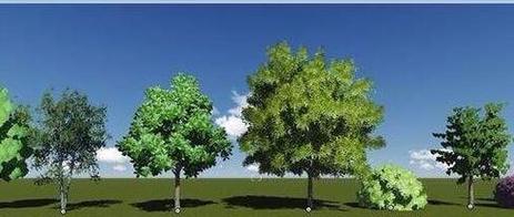 如何在Lumion中創建樹木的鏡像效果 - BIM,Reivt中文網