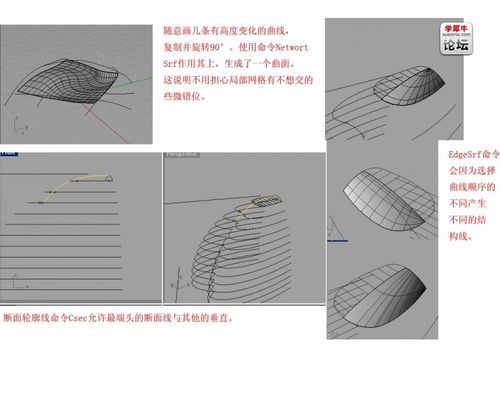 犀牛為什么不能成功沿曲面流動？ - BIM,Reivt中文網